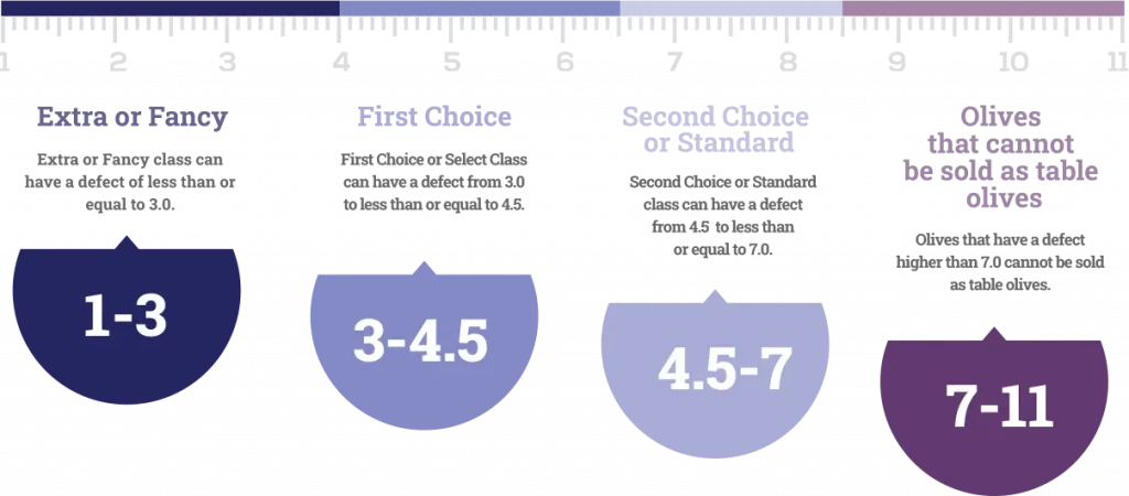 picture of the quality categories of table olives